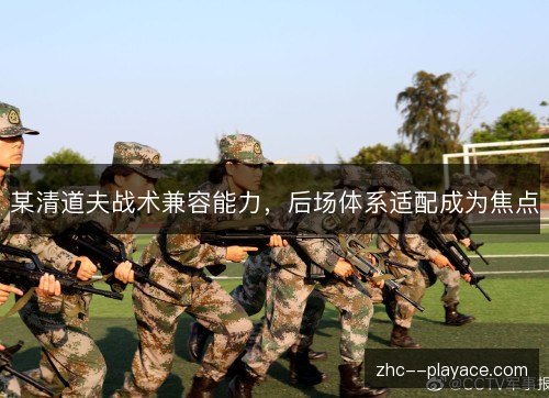 某清道夫战术兼容能力,后场体系适配成为焦点 某清道夫战术兼容能力,后场体系适配成为焦点